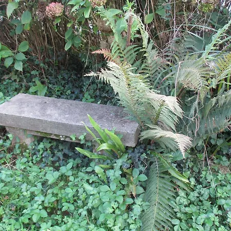 Tatil Evi Gîte Habas Habas