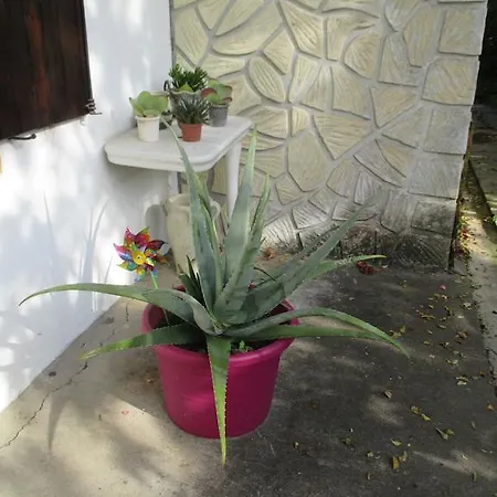 Сasa de vacaciones Gite Habas *