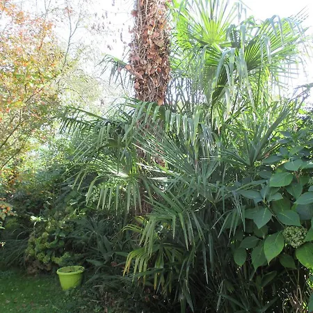 Σπίτι διακοπών Gite Habas