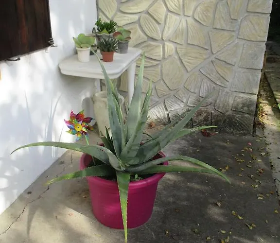 Semesterbostad Gite Habas *